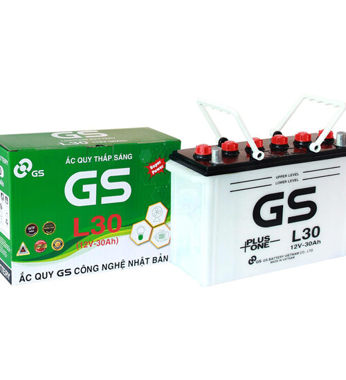 ẮC QUY GS L30 (12V,30AH)